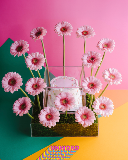 UN01 - pink Gerbera
