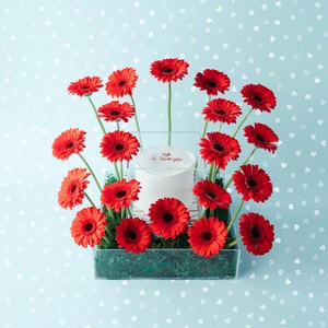 UN01 - red gerbera